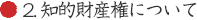 2. 知的財産権について